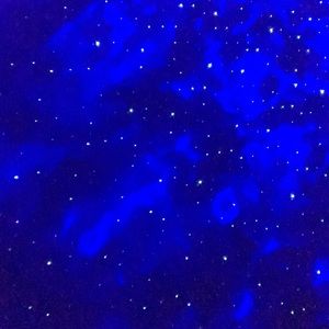 Meet your Posher, Evie